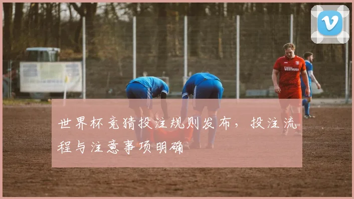 世界杯竞猜投注规则发布，投注流程与注意事项明确