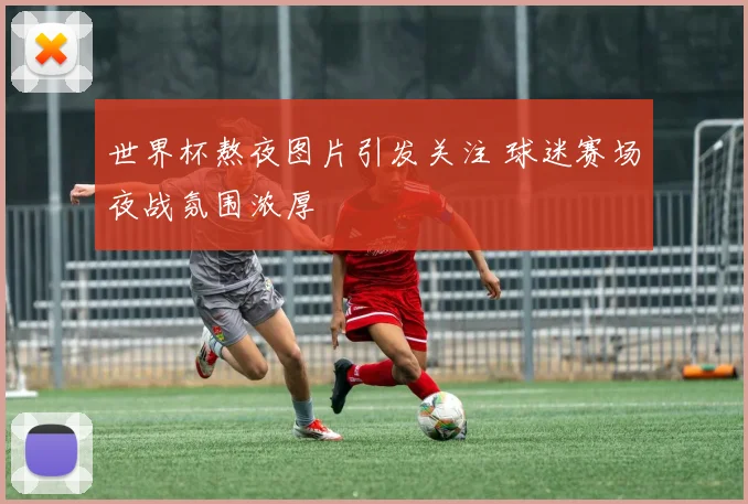 世界杯熬夜图片引发关注 球迷赛场夜战氛围浓厚