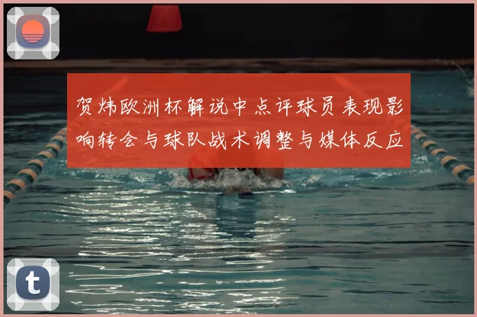 贺炜欧洲杯解说中点评球员表现影响转会与球队战术调整与媒体反应