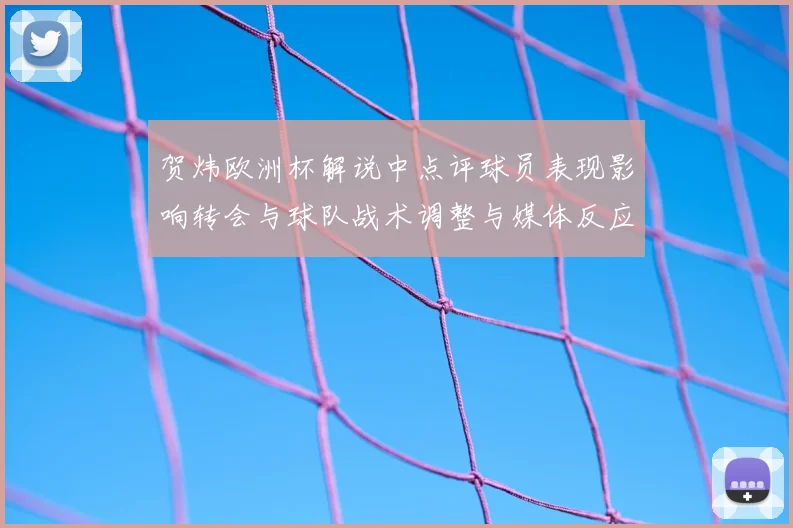 贺炜欧洲杯解说中点评球员表现影响转会与球队战术调整与媒体反应