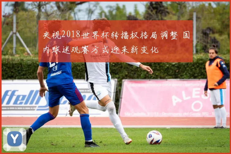 央视2018世界杯转播权格局调整 国内球迷观赛方式迎来新变化