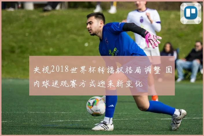 央视2018世界杯转播权格局调整 国内球迷观赛方式迎来新变化