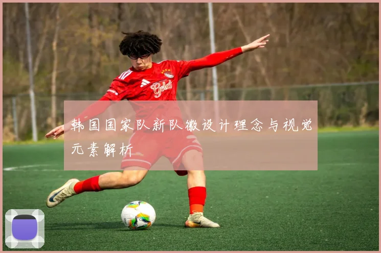 韩国国家队新队徽设计理念与视觉元素解析