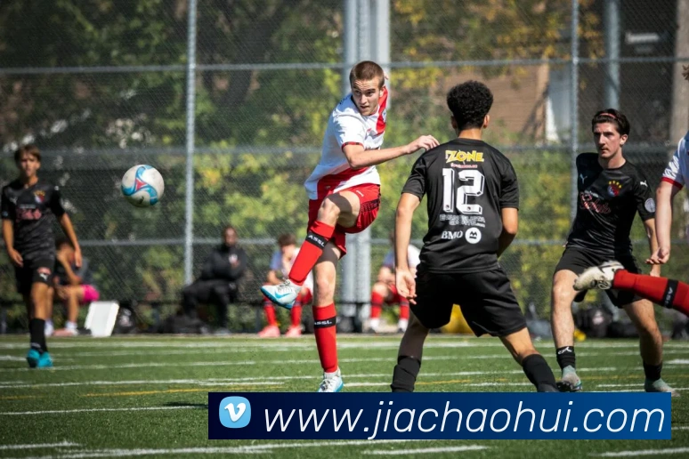 App Interface Preview